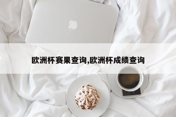 欧洲杯赛果查询,欧洲杯成绩查询