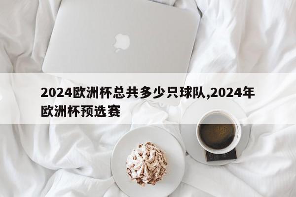 2024欧洲杯总共多少只球队,2024年欧洲杯预选赛