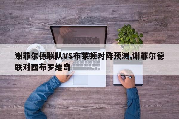 谢菲尔德联队VS布莱顿对阵预测,谢菲尔德联对西布罗维奇