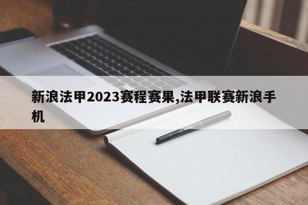 新浪法甲2023赛程赛果,法甲联赛新浪手机